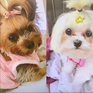 Meet your Posher, Klaudia